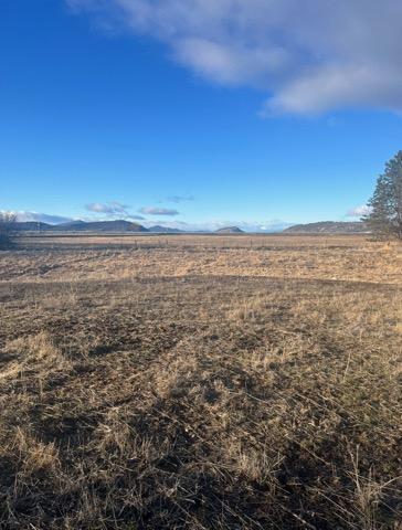 Lake Shore Gardens - Land