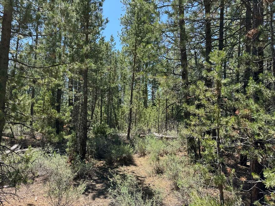 Two Rivers North 1.02 acres. The parcel is bordered on two sides by public forest lands. Access is directly from Gabriel Court or enter from NF 5835.  Superior parcel with exceptional location and access. Phone and power at the property's edge. Situated in a Cul-D-Sac for added privacy.
Area of custom homes and just 2-3 minutes to a public campground on NF-5835 Road. Numerous creeks, ATV, OHV, and hunting, hiking recreational opportunities in all directions. Huge parcel, lots of trees and privacy, ready for your home and ideas.