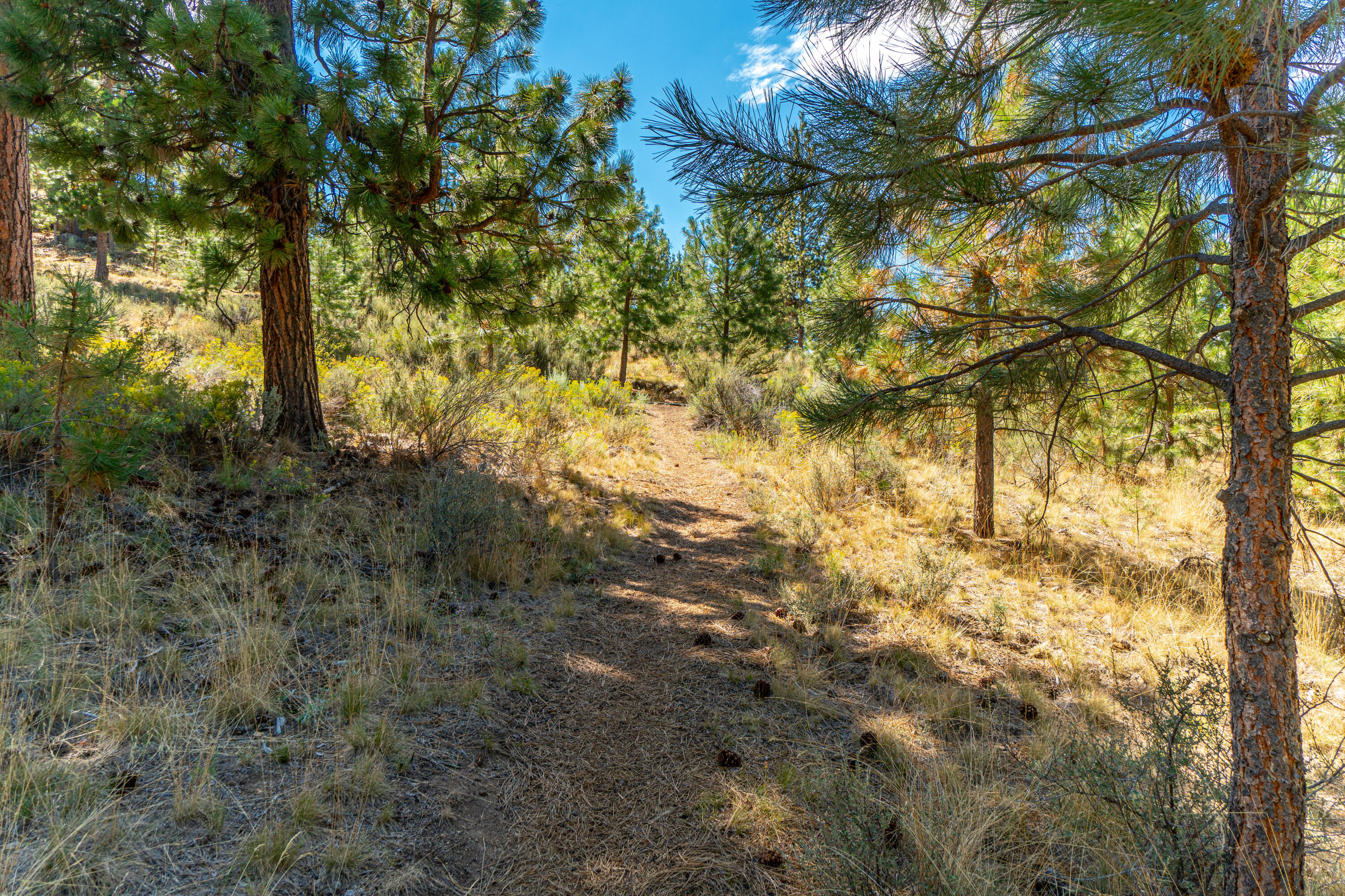 Skyliner Summit - Residential