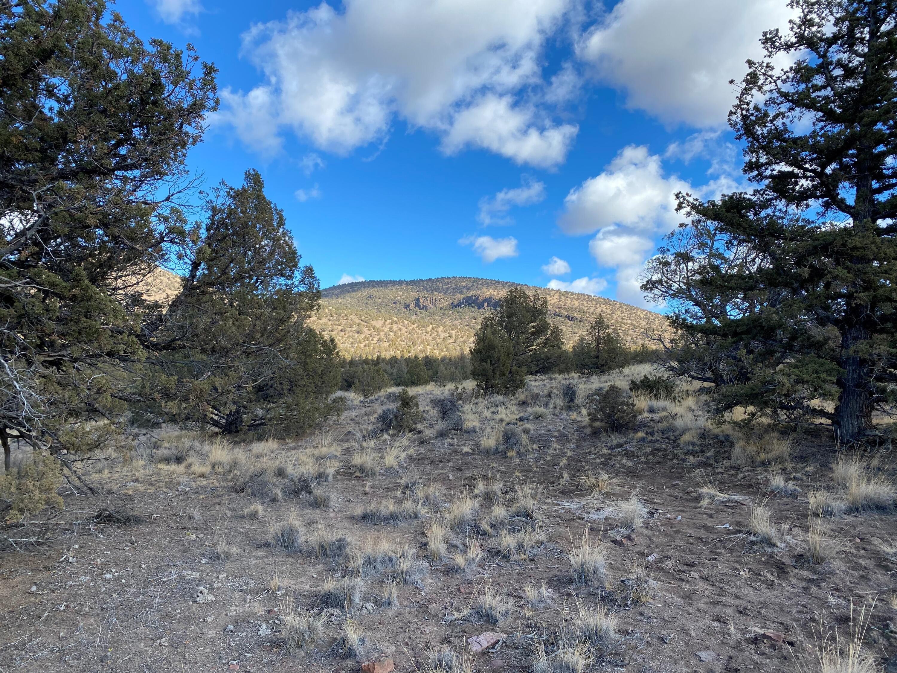 Brasada Ranch - Land