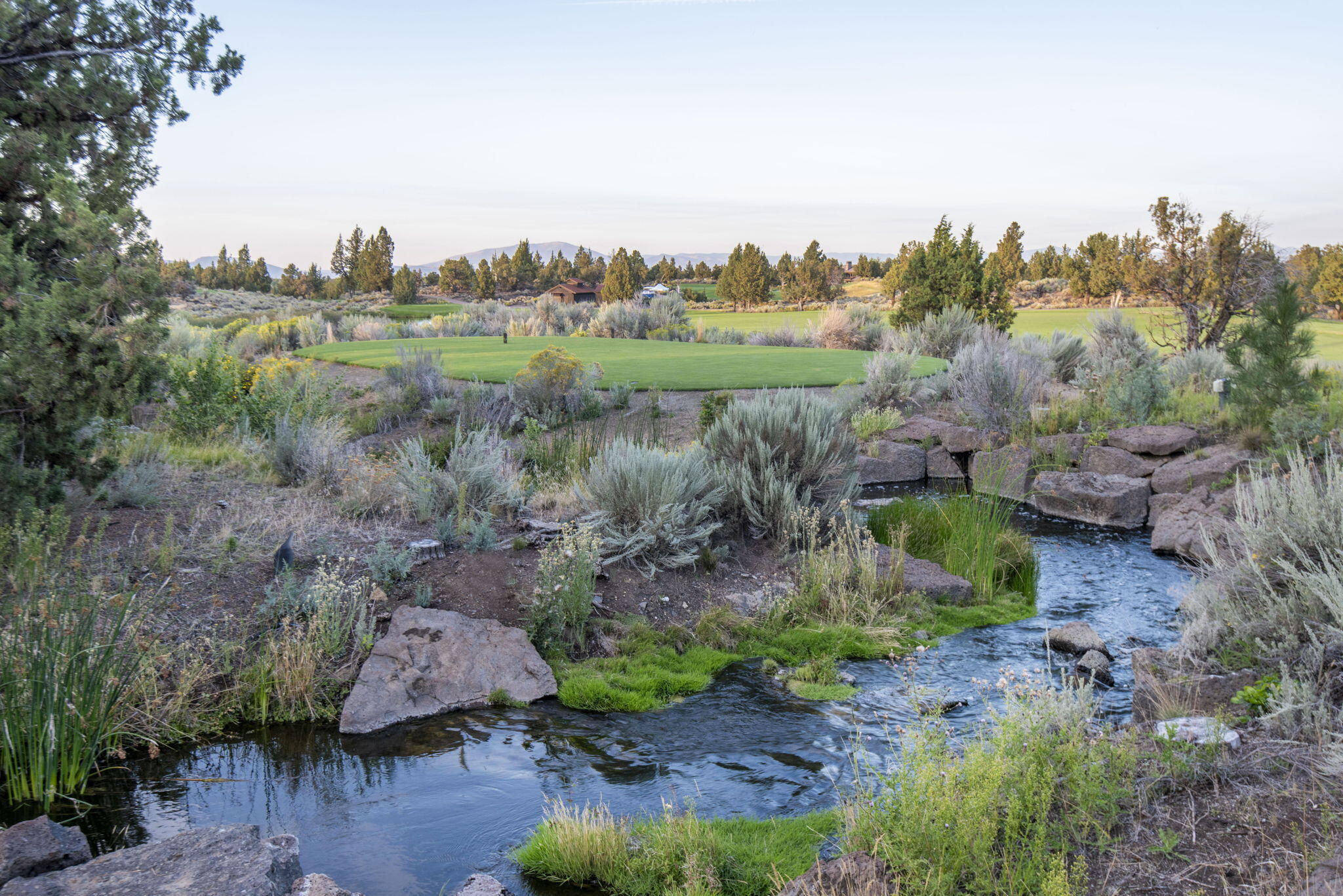 Pronghorn - Residential