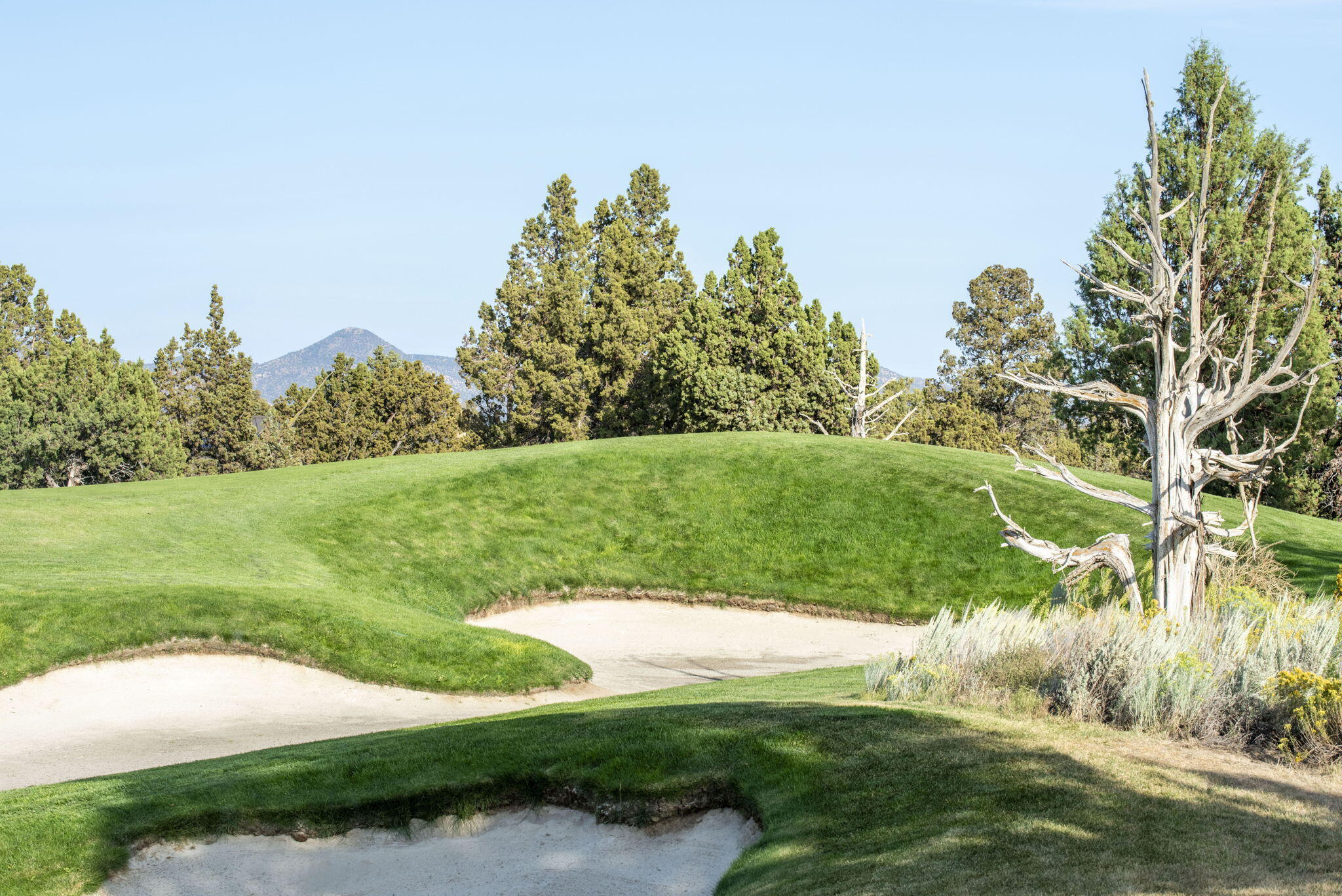 Pronghorn - Residential