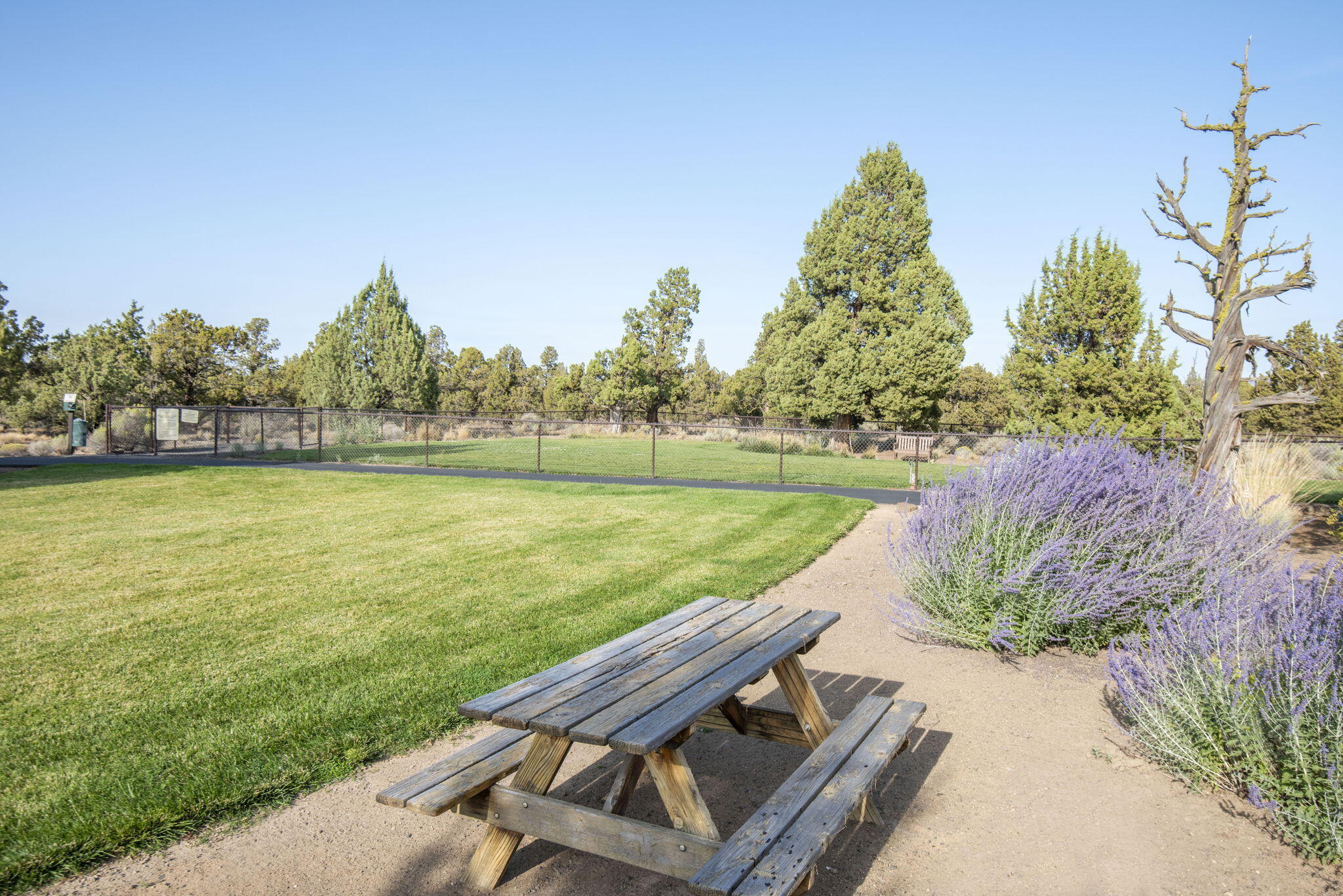 Pronghorn - Residential