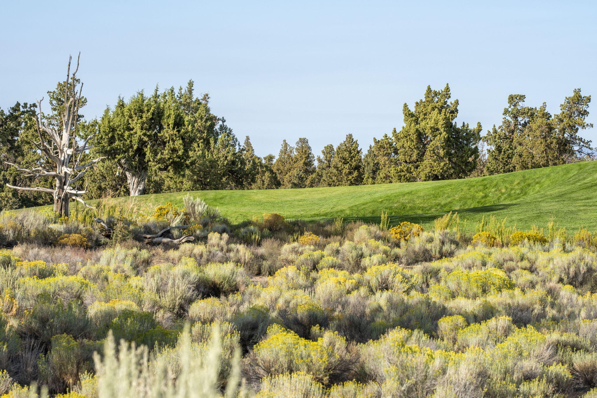 Pronghorn - Residential