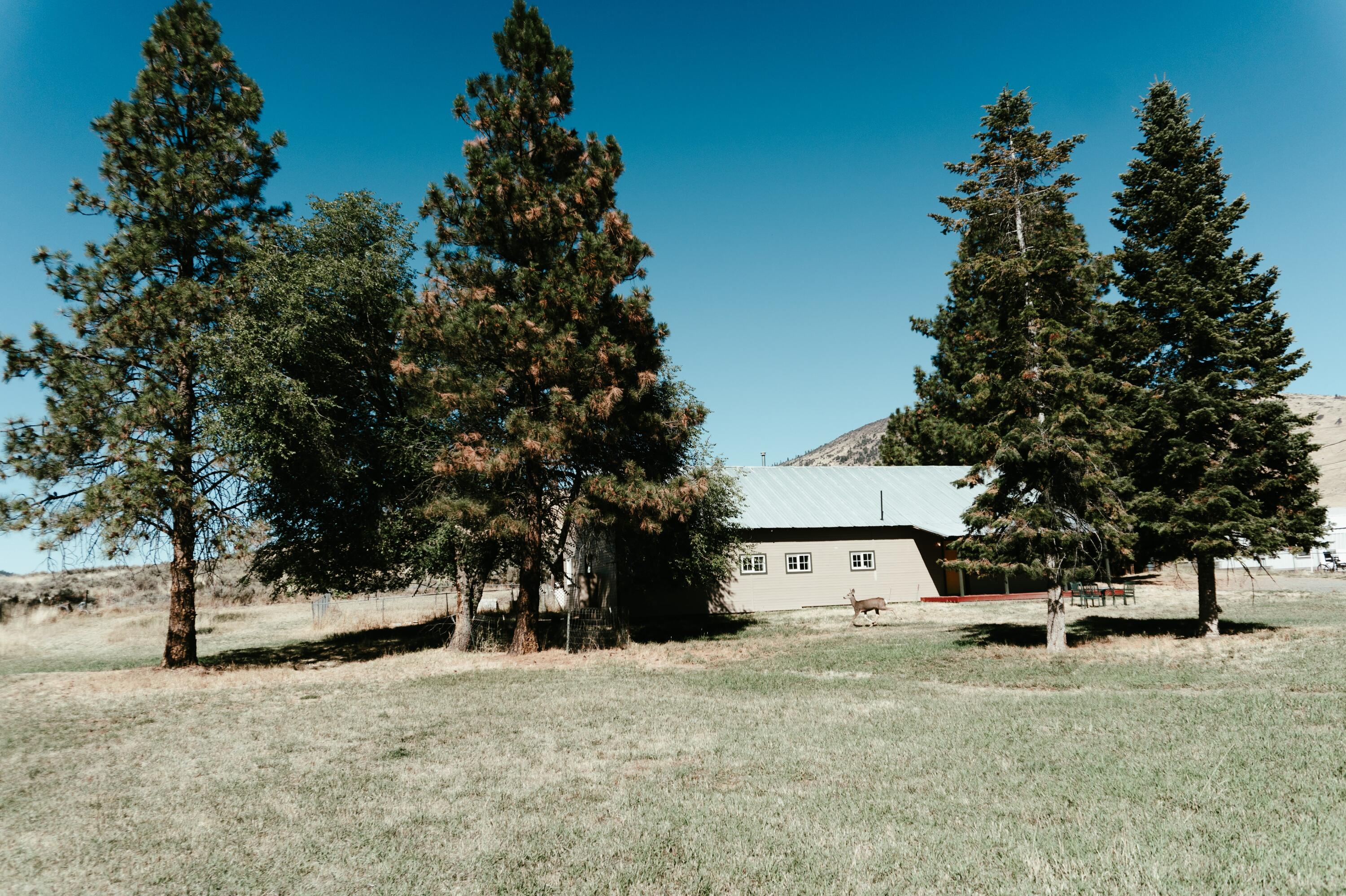 Lewis Tracts - Residential