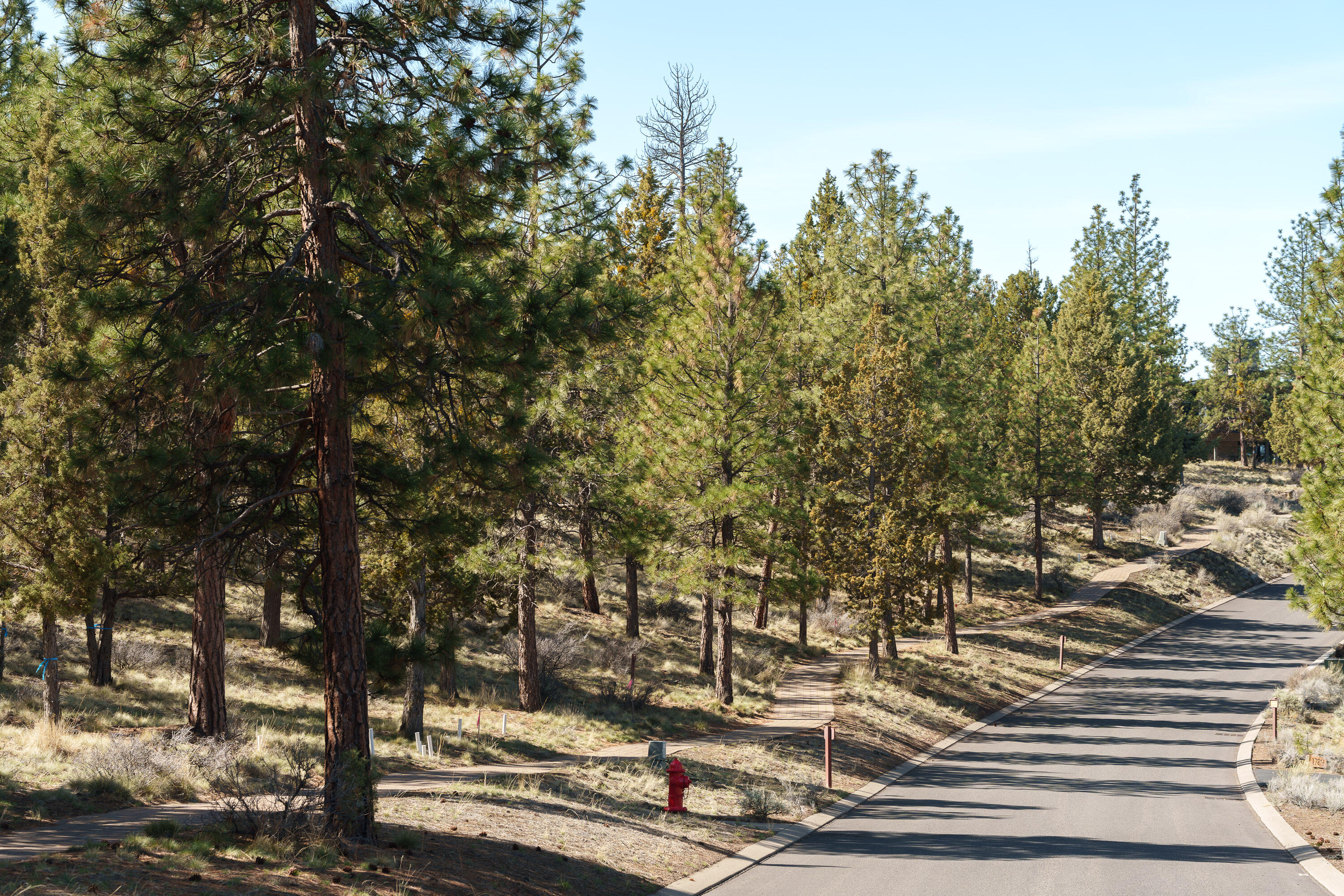 1784 NW Wild Rye Circle