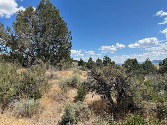 Nimrod River Park - Land