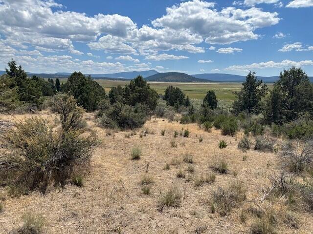 Nimrod River Park - Land