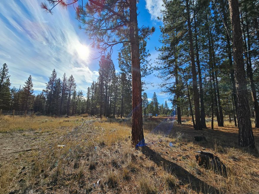 Nestled in the serene and picturesque landscapes of Bonanza, Oregon, lies 4.57 acres of land for sale adorned with majestic pine trees. Imagine waking up to the tranquil melody of chirping birds as the morning breeze sweeps through the pines. This location offers a great escape from the hustle and bustle of city life, providing a haven of tranquility. The enchanting scent of pine needles fills the air, creating a soothing and refreshing atmosphere. The beauty of this land is a canvas waiting to be transformed into your own personal oasis. A space to connect with nature, this land offers many possibilities. Embrace the serenity! Buyer to perform their Due Diligence. There is an old broken down trailer on the property, please do not enter for safety.