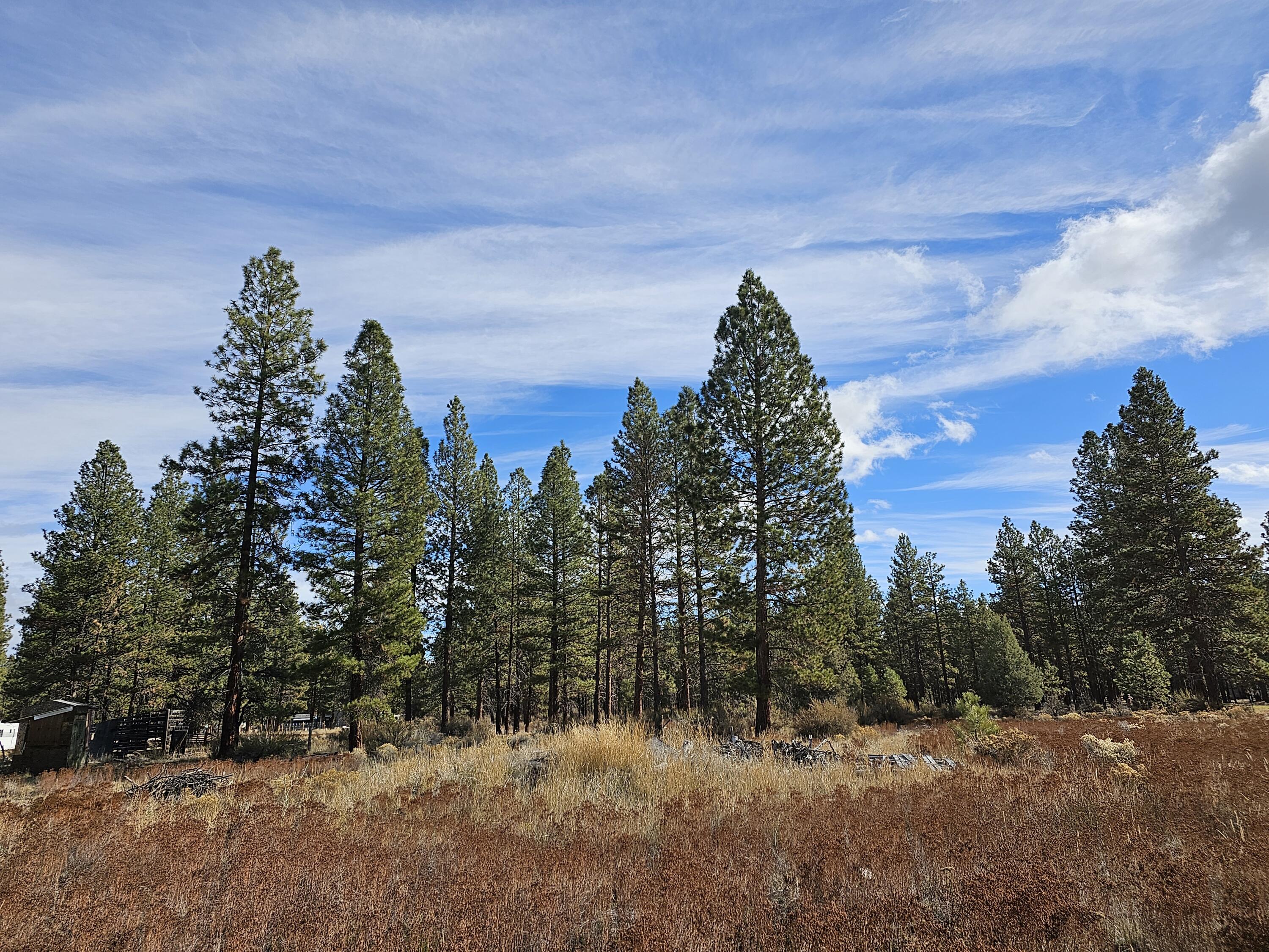 Klamath Falls Forest Estates -Hwy 66 Unit -Plat No. 2 - Land