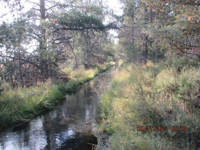Mt. Scott Meadow - Land