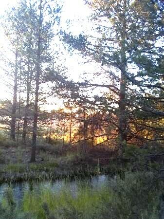 Mt. Scott Meadow - Land