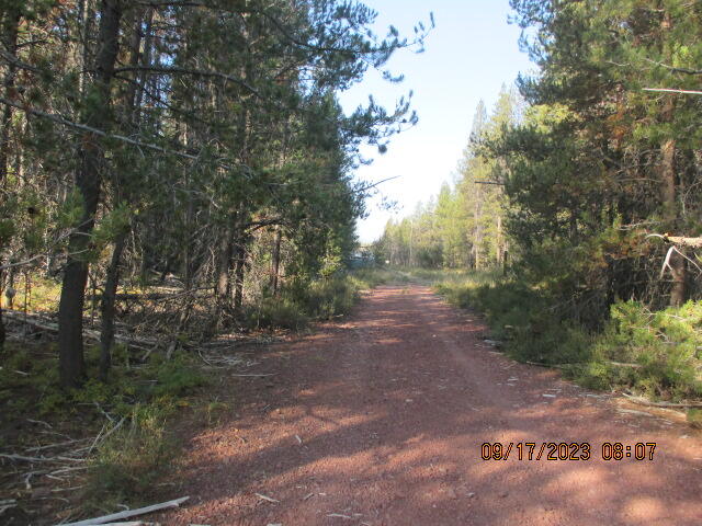 Mt. Scott Meadow - Land