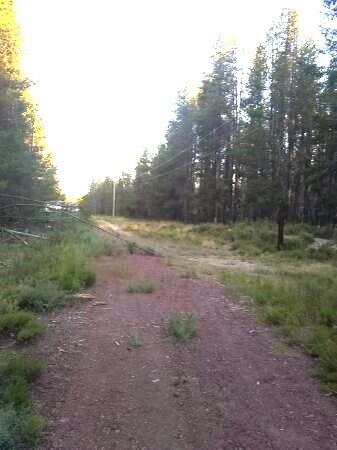 Mt. Scott Meadow - Land