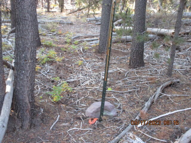 Mt. Scott Meadow - Land