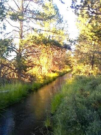 Mt. Scott Meadow - Land