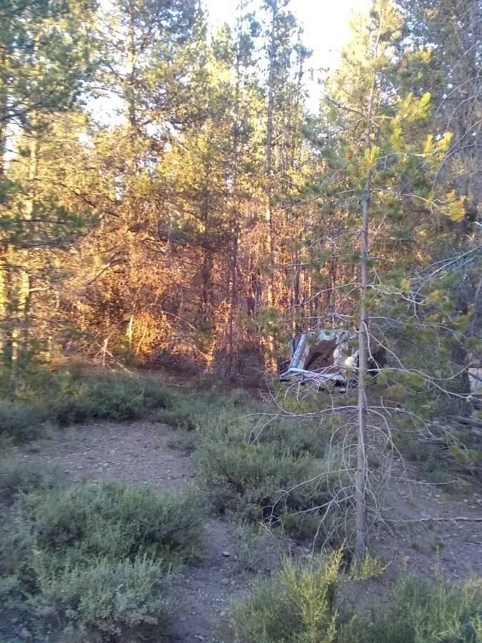 Mt. Scott Meadow - Land