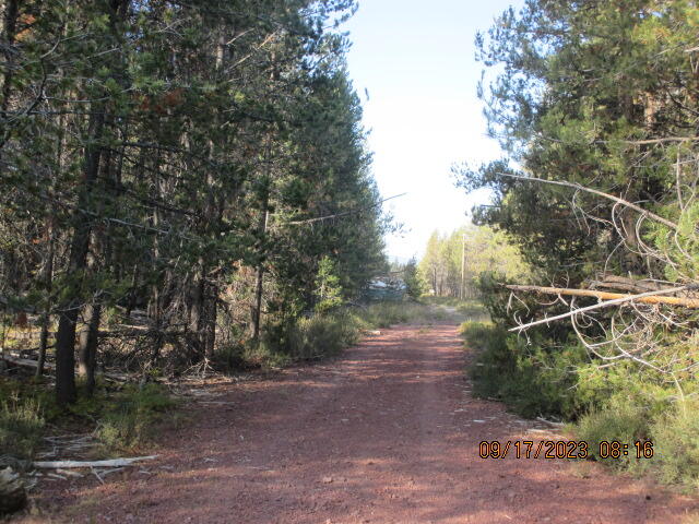 Mt. Scott Meadow - Land