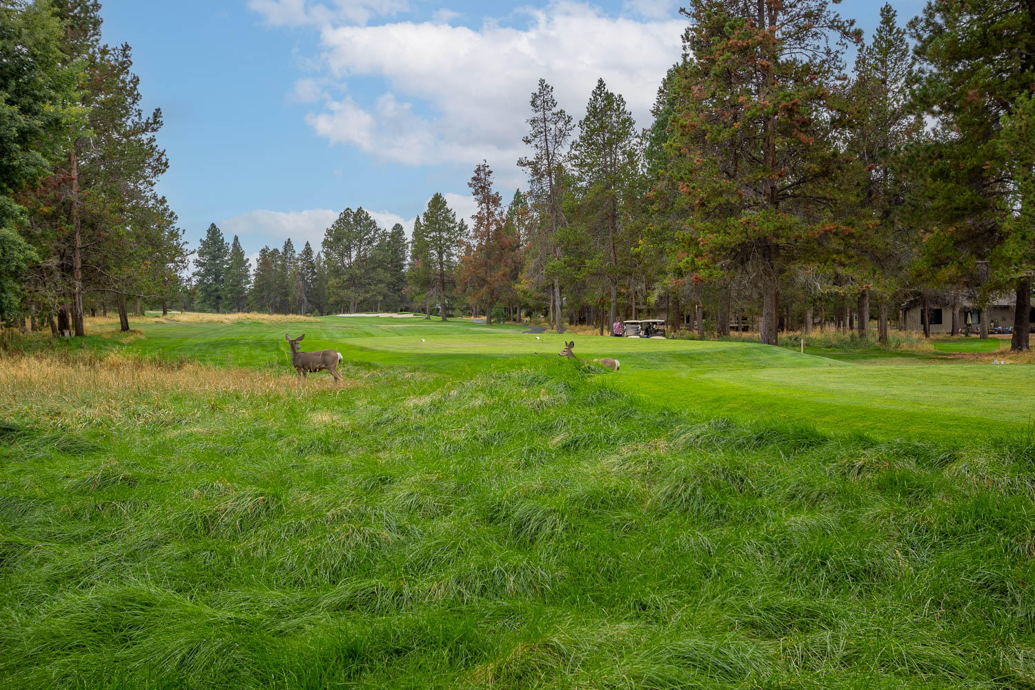Fairway Crest Village - Residential