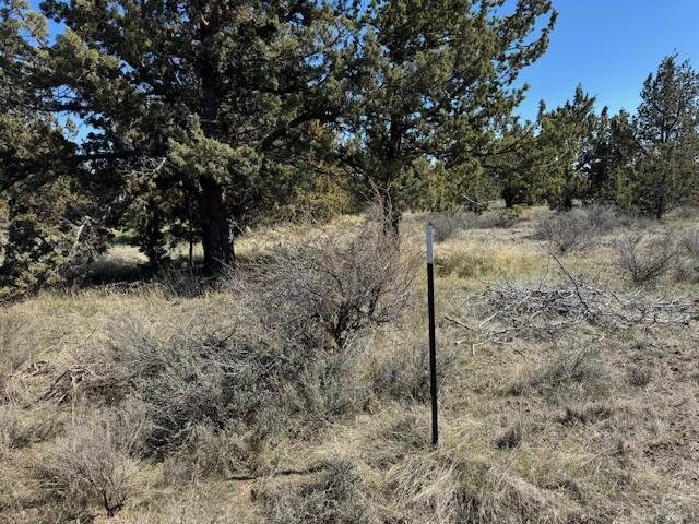 Ochoco Land + Livest - Land