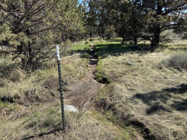 Ochoco Land + Livest - Land