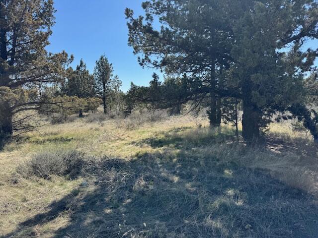 Ochoco Land + Livest - Land