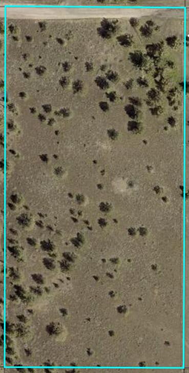 Ochoco Land + Livest - Land