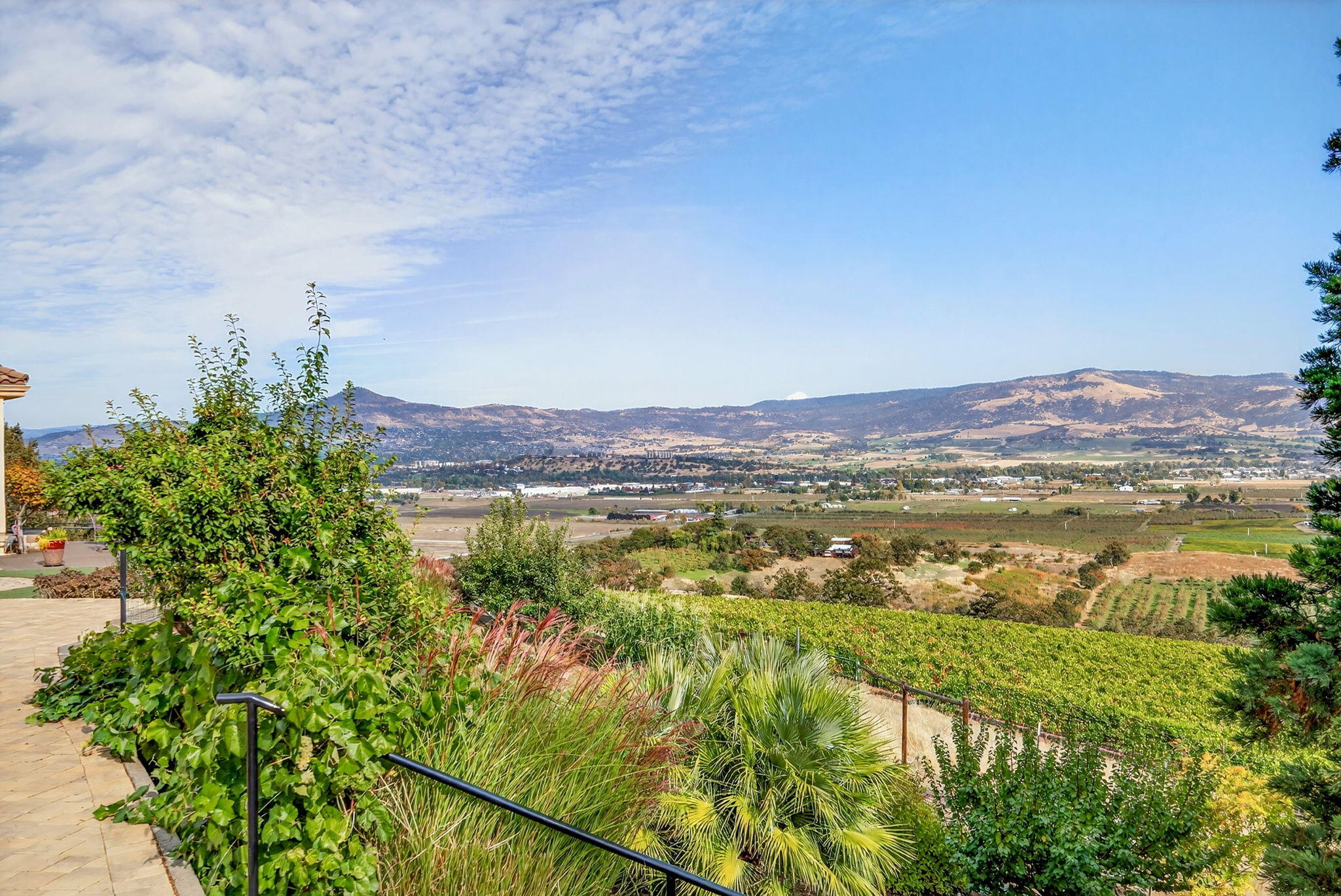 Meadows At Griffin Creek, The - Residential