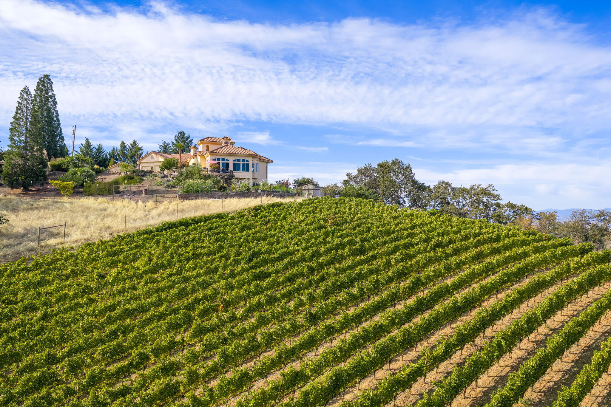 Meadows At Griffin Creek, The - Residential