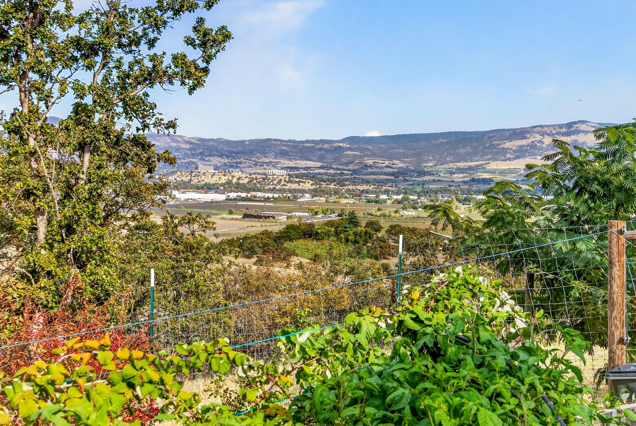 Meadows At Griffin Creek, The - Residential