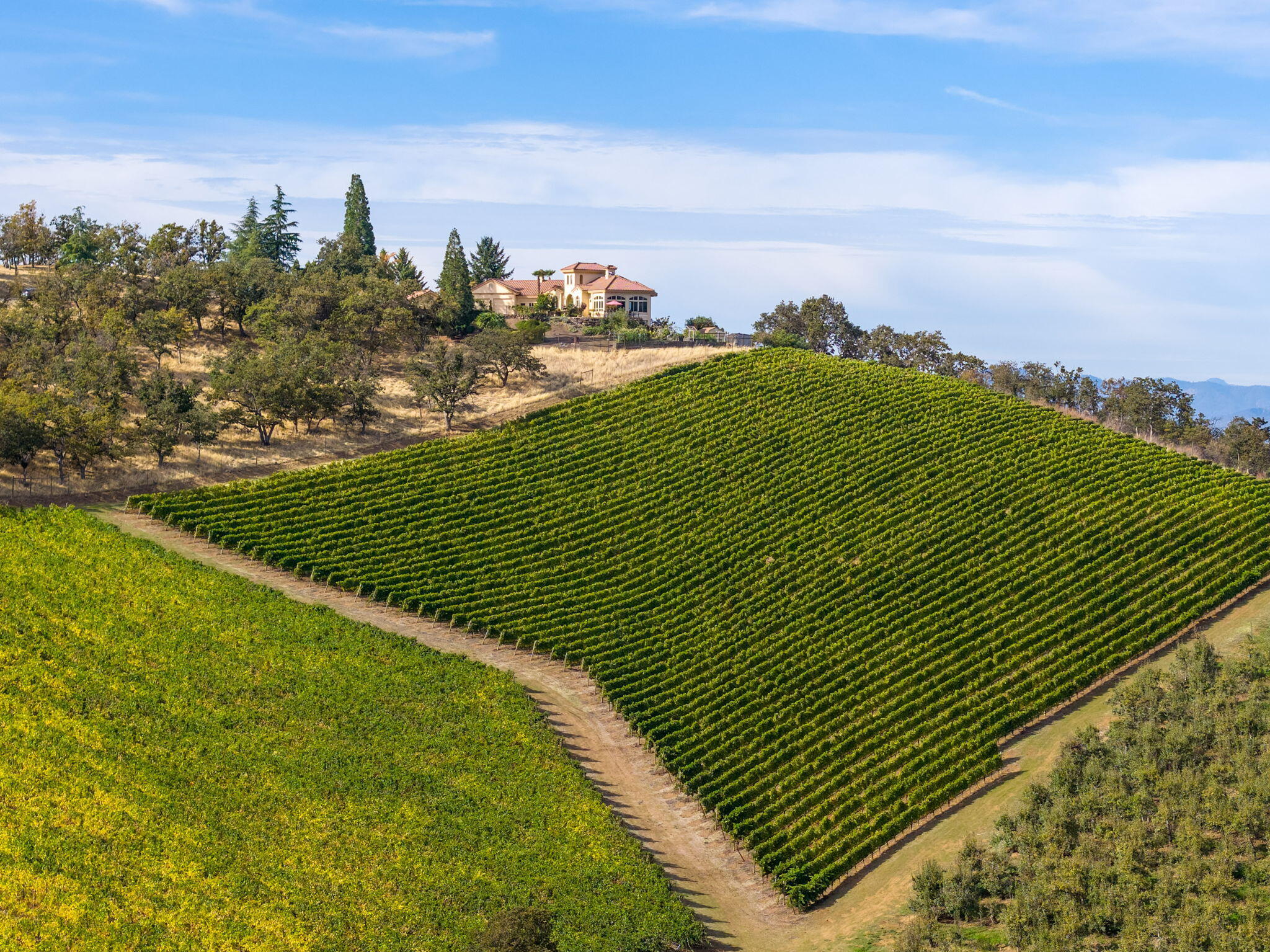 Meadows At Griffin Creek, The - Residential