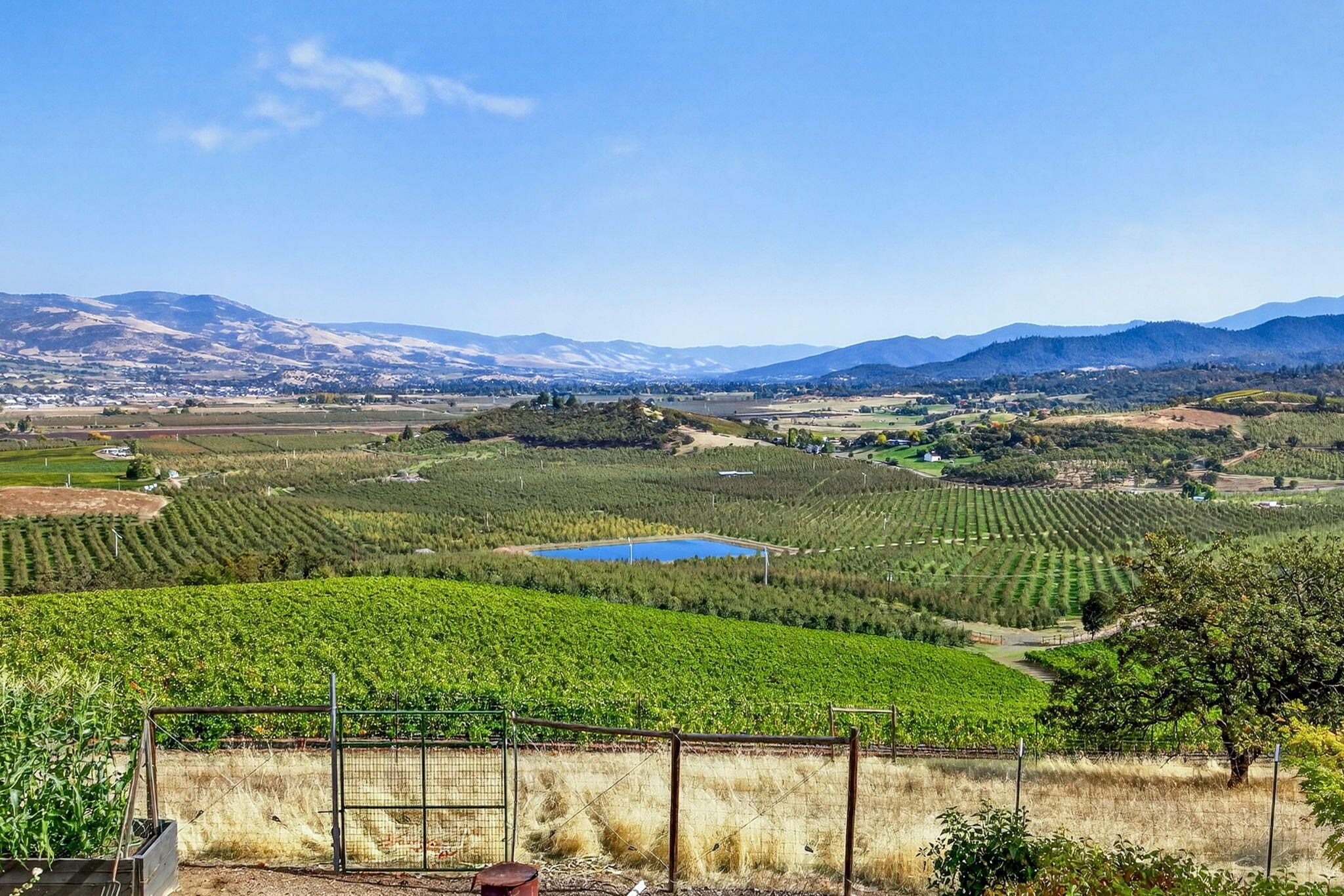 Meadows At Griffin Creek, The - Residential