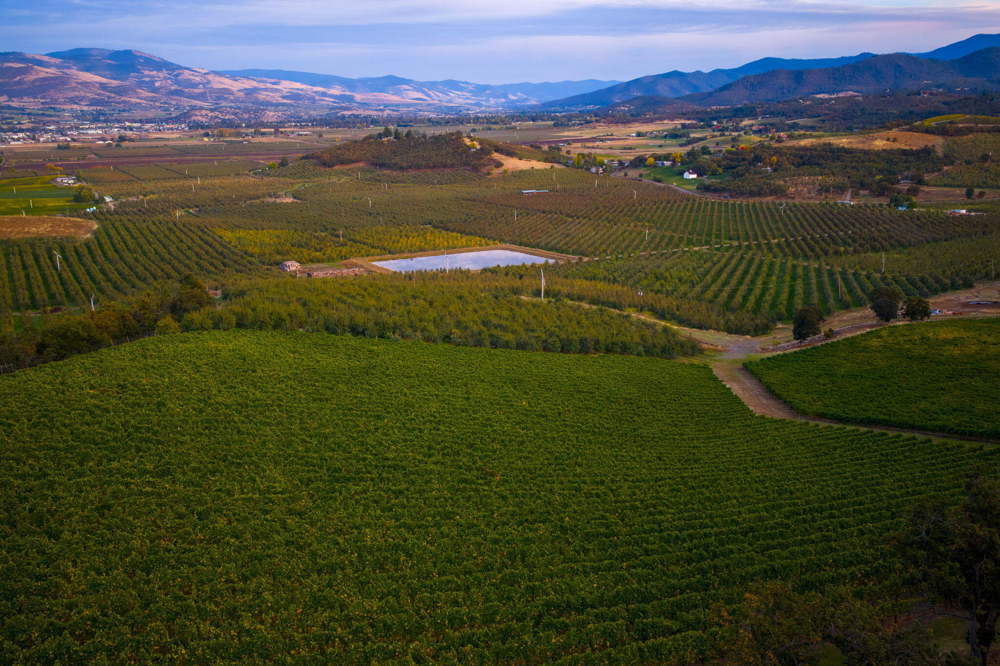 Meadows At Griffin Creek, The - Residential
