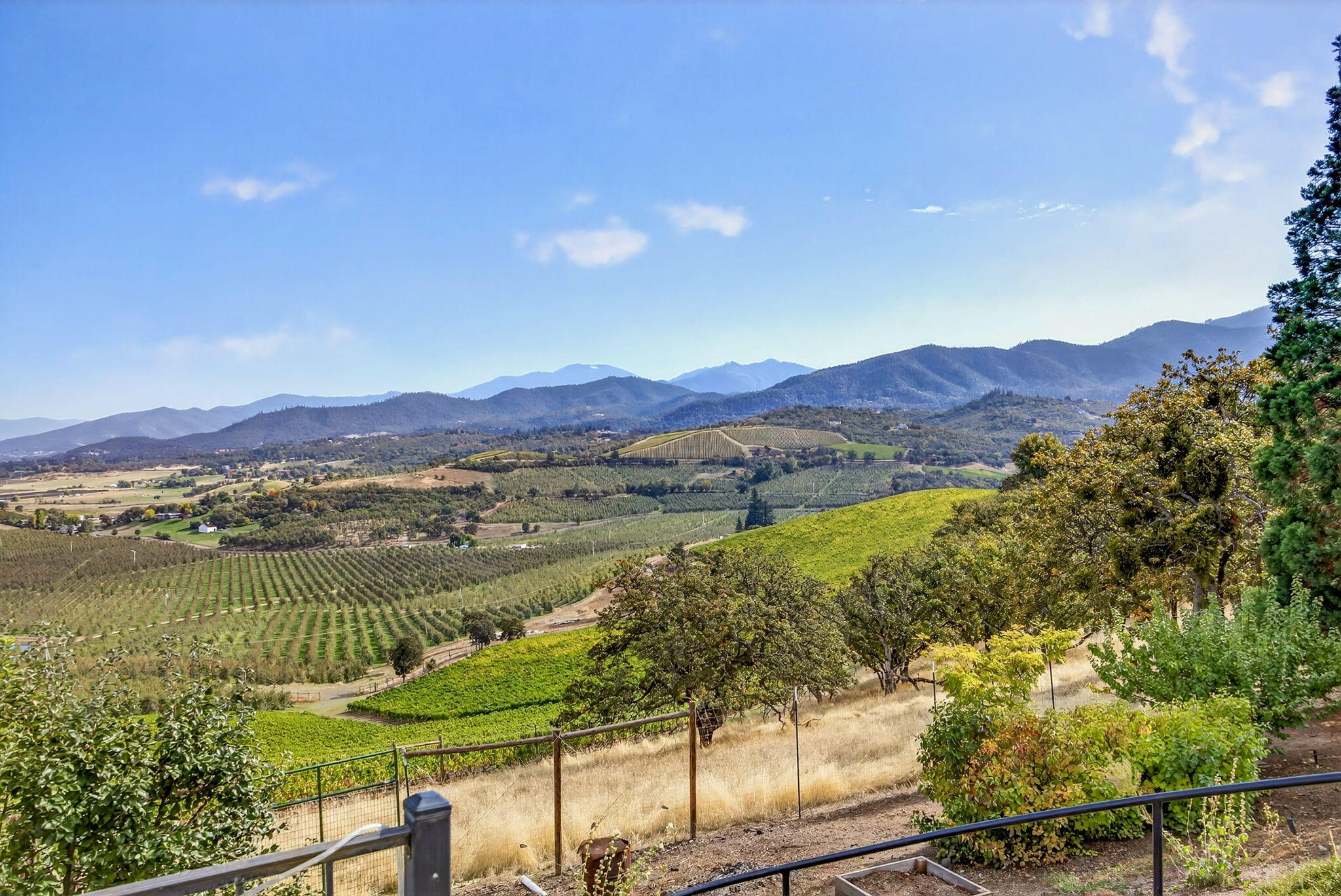 Meadows At Griffin Creek, The - Residential