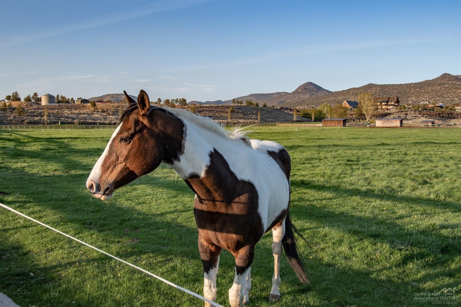 Brasada Ranch - Land