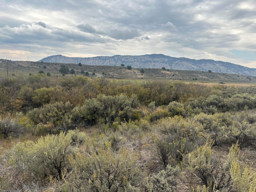 This 1.08 acres would be the perfect getaway for your own personal campspot. Bring your RV and toys and enjoy Unity Reservoir just minutes away from Unity State Park and the boat launch. Enjoy views of the reservoir from you property. Just a few minutes in your vehicle in several directions you can be in the National Forest and enjoy the public lands. This property is not a buildable parcel and is zoned Exclusive Farm Use. Buyers to contact Baker County Planning Department to do due diligence and answer any questions of properties use.