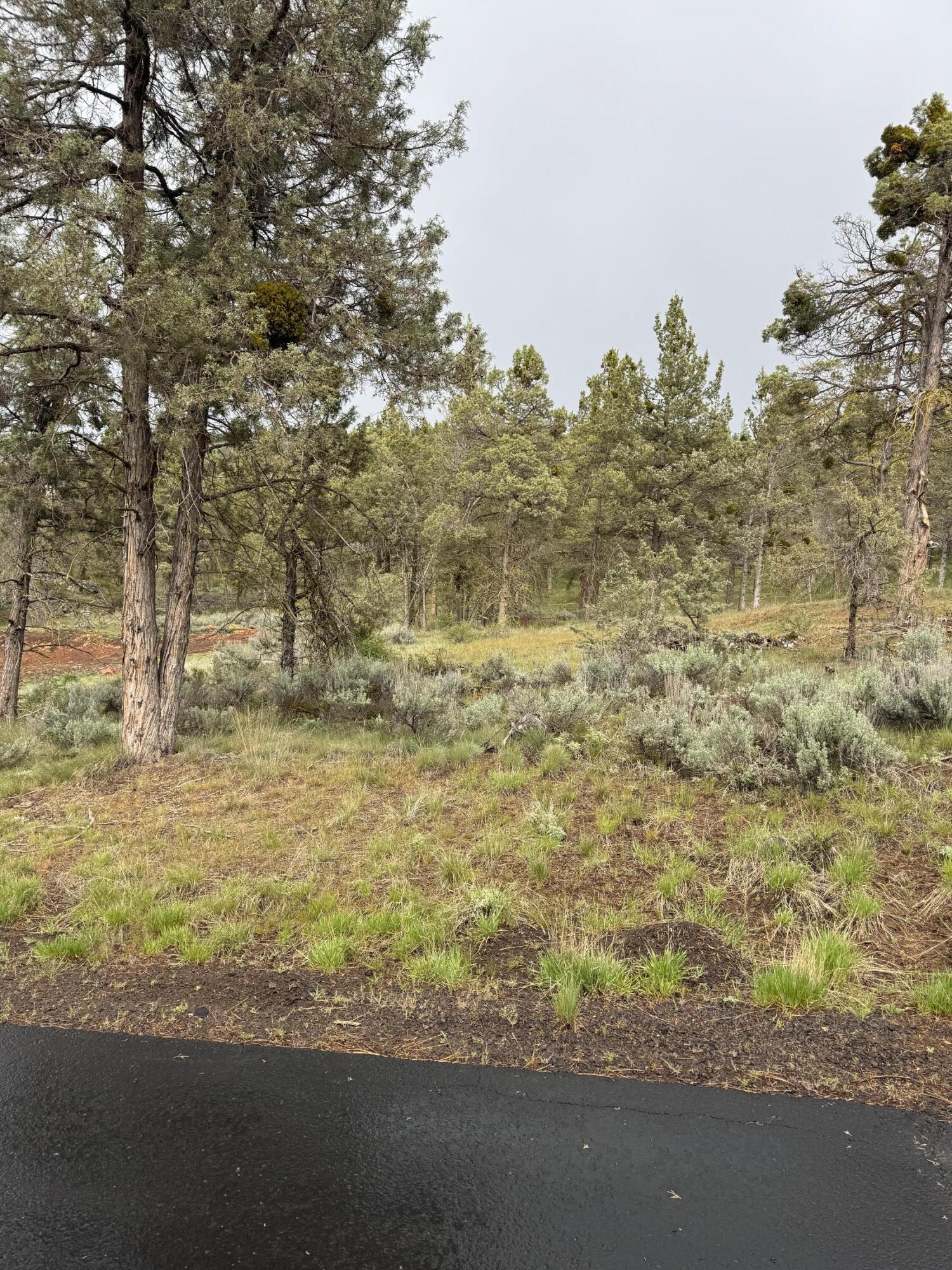 1129 Vine Maple Drive