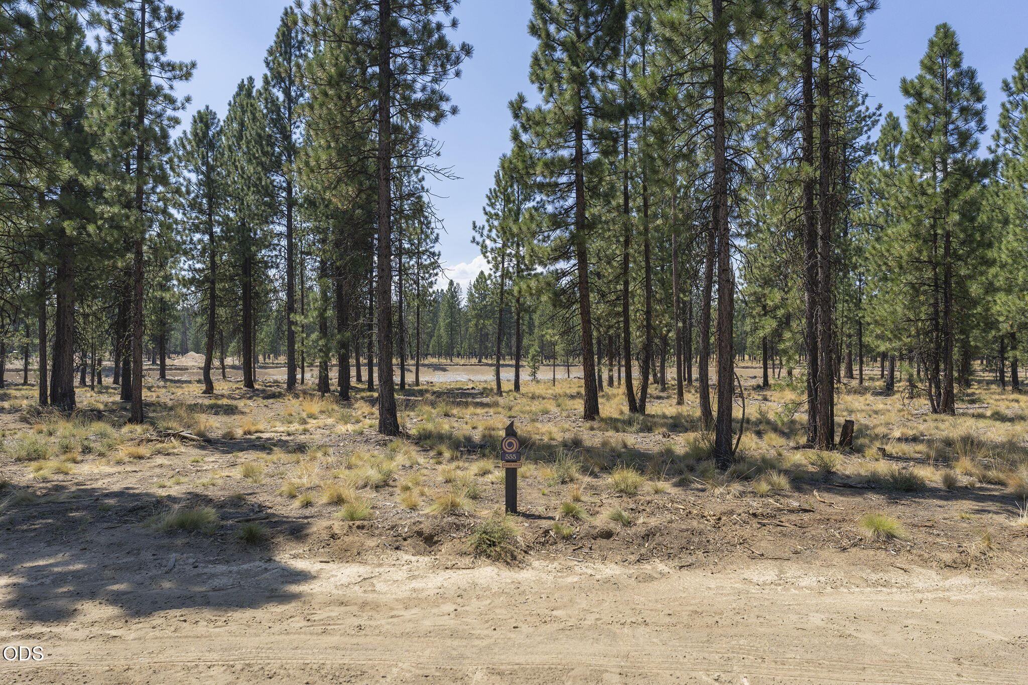 56672 Red Bark Lane 555