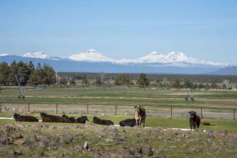Tiny photo for 2441 SW Minson Road, Powell Butte, OR 97753 (MLS # 220209789)