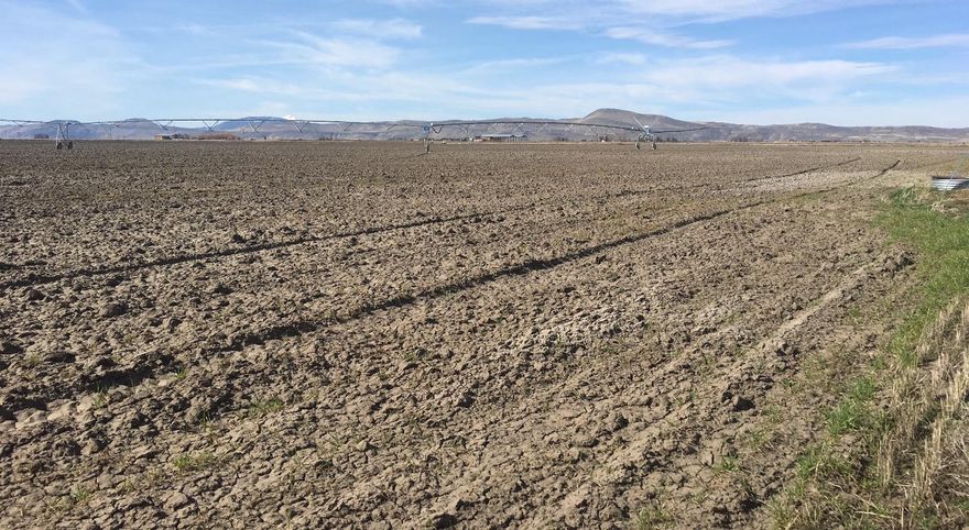 Farm with good soils suitable for most crops grown in the Tulelake area. This 120 acre property with 2 tax lots is located just south of the California State line on Zlavek Road. There is a 4 bedroom and 1-1/2 bathroom home on the property along with a 25'X96' metal quonset machine shed. Irrigation for 114.8 acres is from TID water. Irrigation equipment at the time of listing was: 50HP pump/panel/meter base; PVC 8 1300'; Valley Corner Pivot; 1 wheeline-1320'; 2 filters/manifold. The property is sold on an As Is, Where Is basis. Buyer must make offer based upon Buyer's personal inspection of the property and not upon any representations or warranties of Seller or Agent.