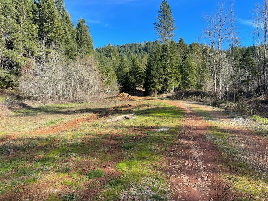 Owner carry available!! Looking for a fabulous homesite w/ enhanced privacy close to town? Accessible throughout the year, this 39+ acre parcel is a perfect opportunity for someone to continue where the previous owner left off &/or build their dream home! Enhanced privacy w/ useable land while being surrounded by your own timber investment @ this inexpensive price is rare to find in this current market. Multiple potential homesites as well! The property comes with 7 2500 gallon water tanks, and 2 40' shipping containers. 14x40 cabin currently on the property is the perfect situation for someone to live in while building their dream home. Multiple high producing springs are throughout the property & were developed for irrigation purposes. Power is at the street  per seller, water rights are obtainable. Beautiful homestead in Douglas County. Lots of firewood and abundant wildlife. Private gated driveway.  Amazing views of the mountains throughout the property.