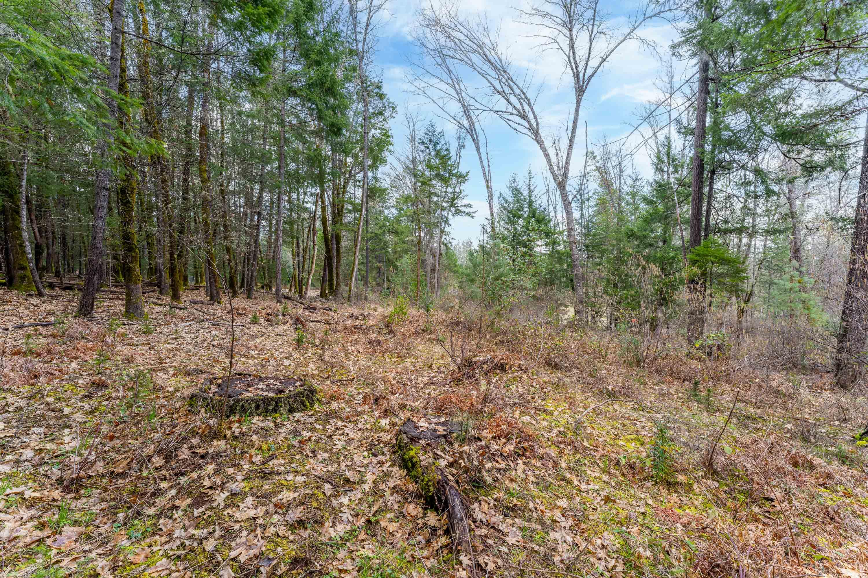 Foster Estates Subdivision - Land