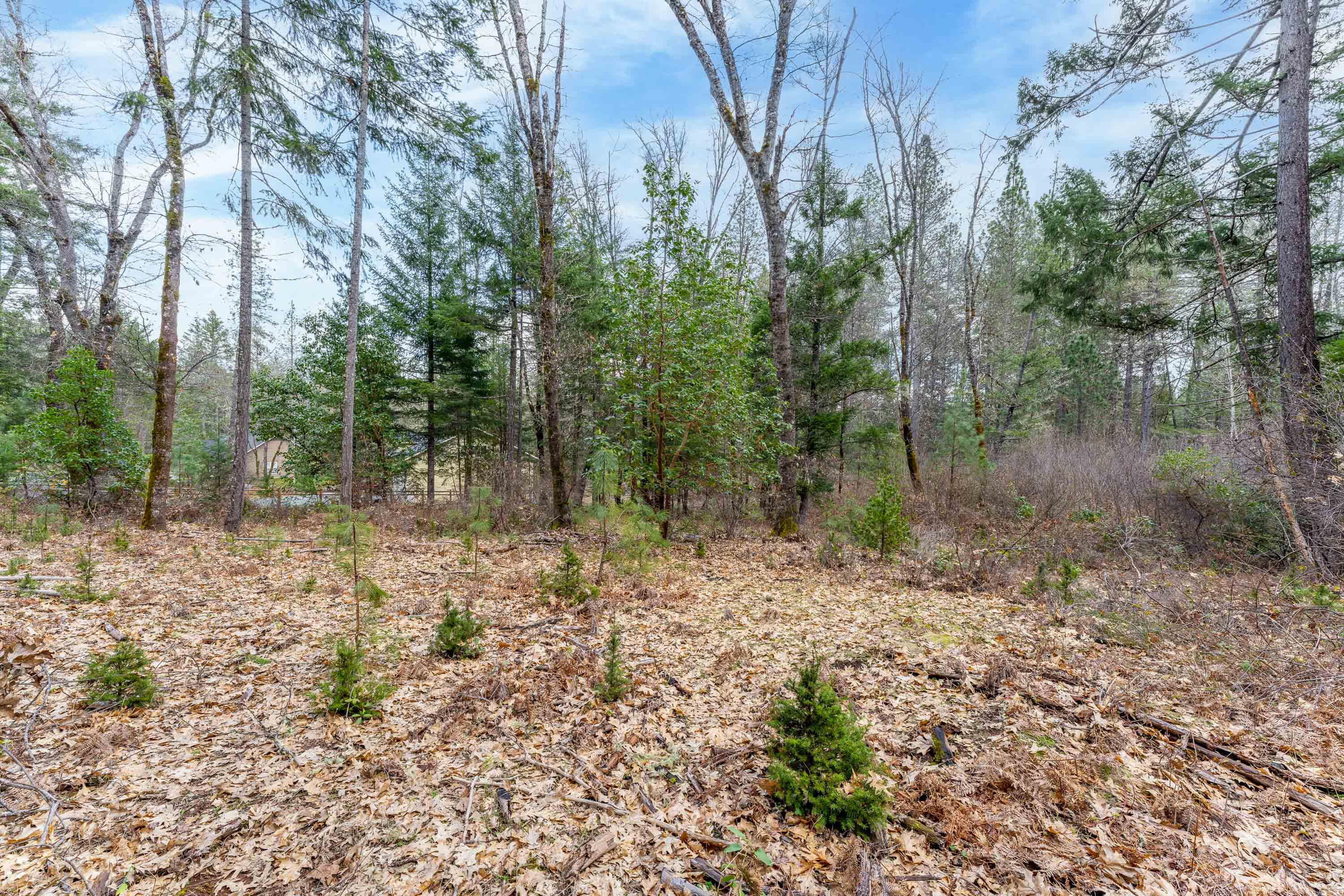 Foster Estates Subdivision - Land