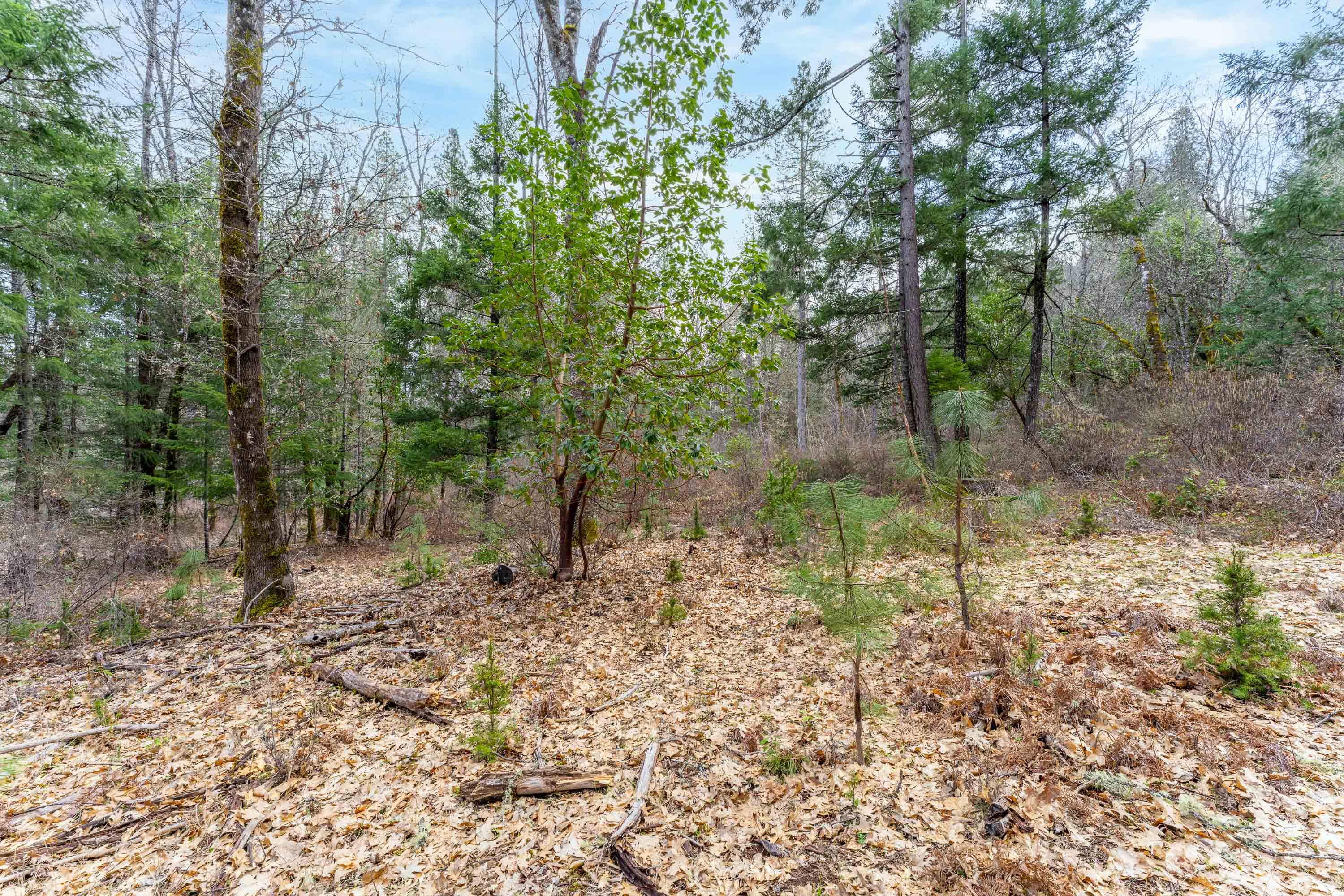 Foster Estates Subdivision - Land