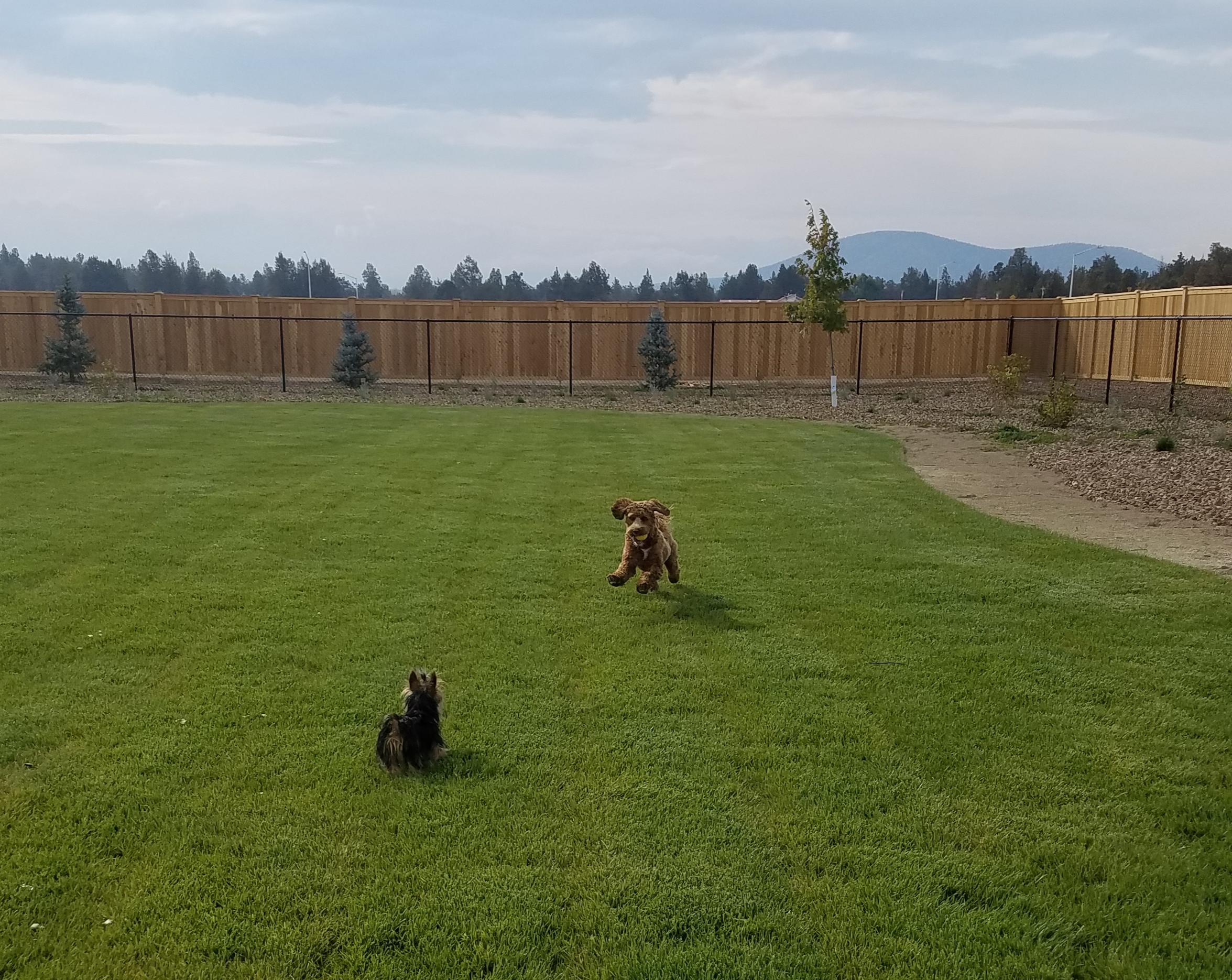 Prairie Crossing - Residential