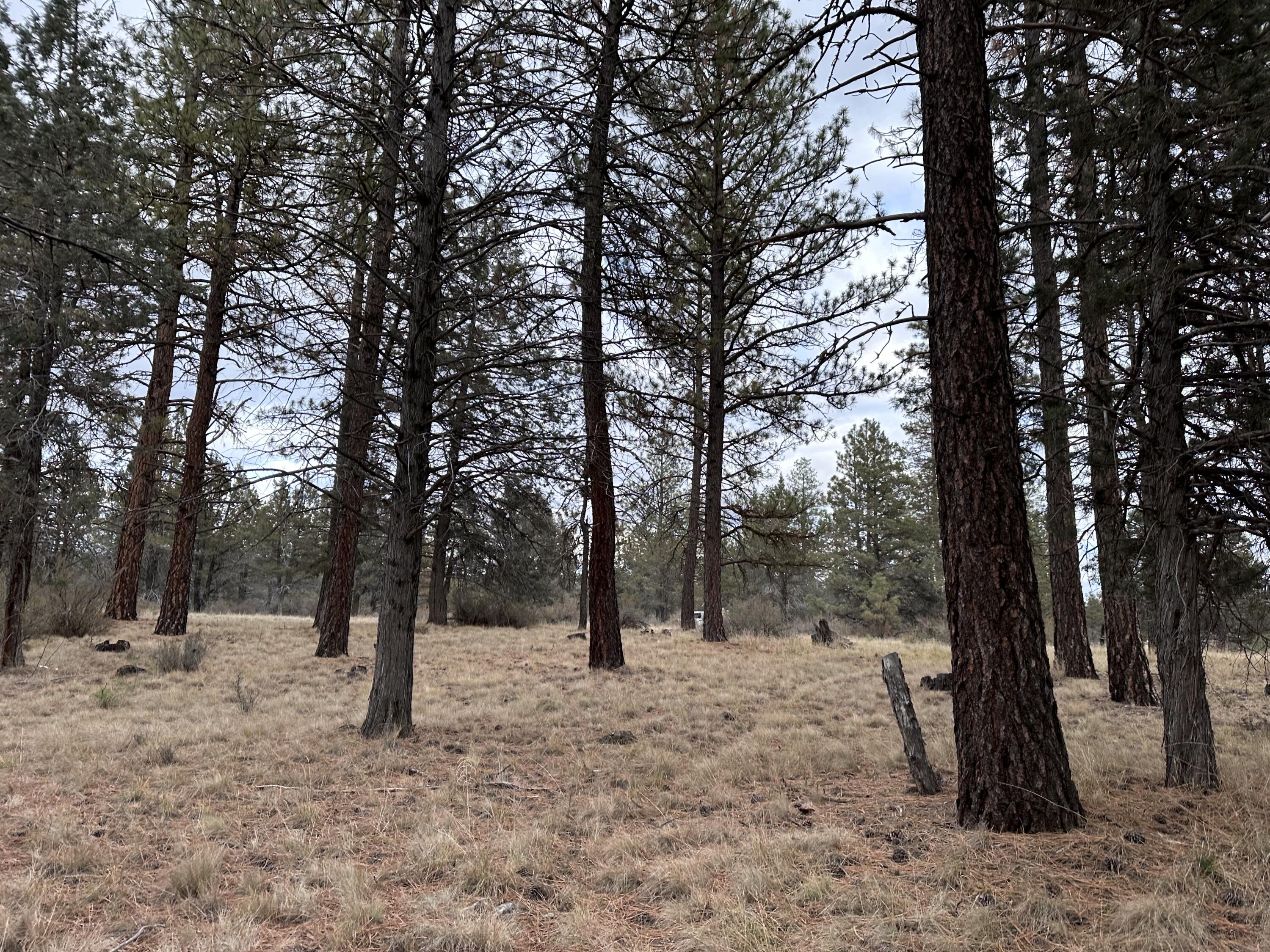 Klamath Falls Forest Estates -Hwy 66 Unit -Plat No. 2 - Land