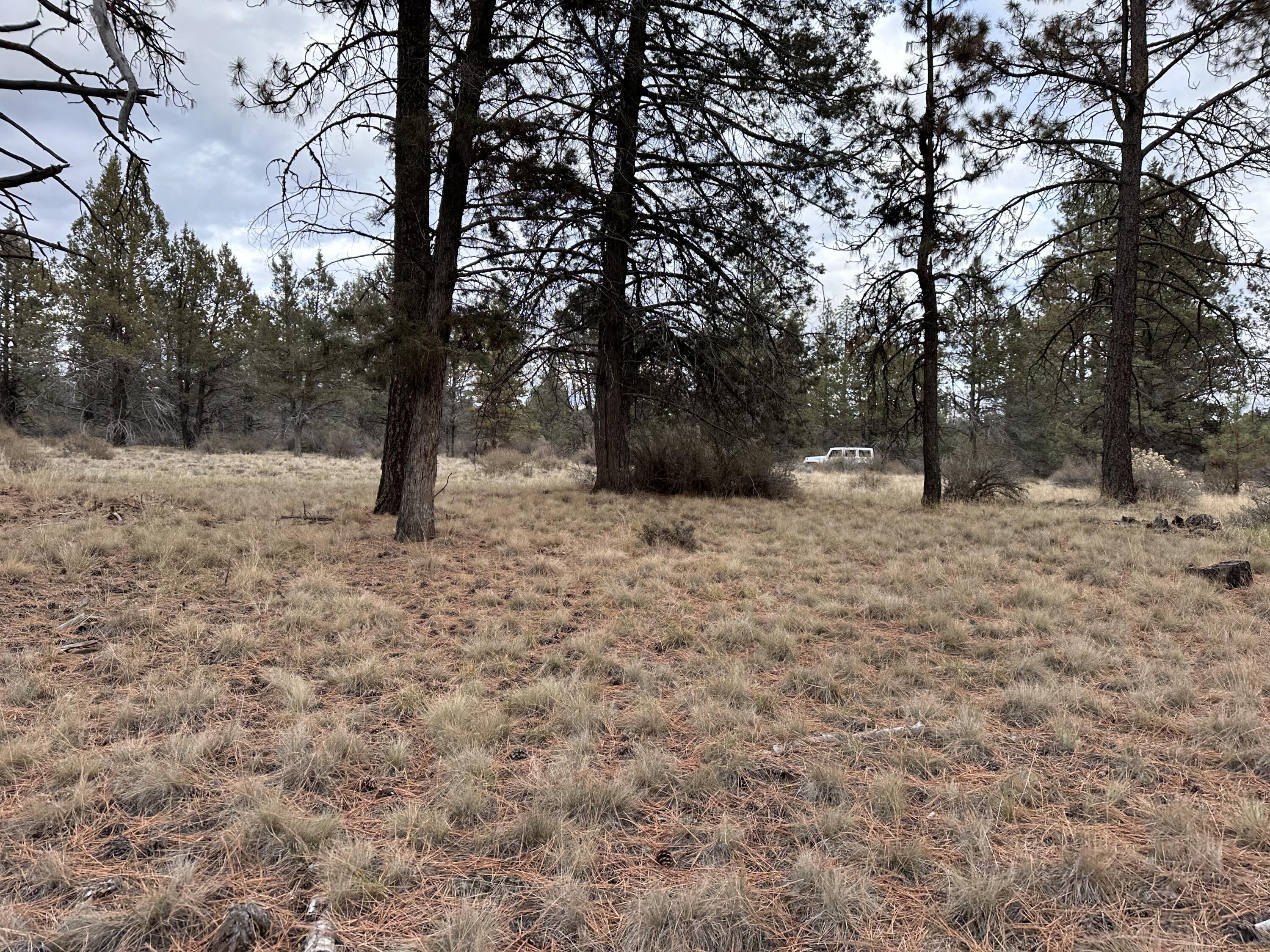 Klamath Falls Forest Estates -Hwy 66 Unit -Plat No. 2 - Land