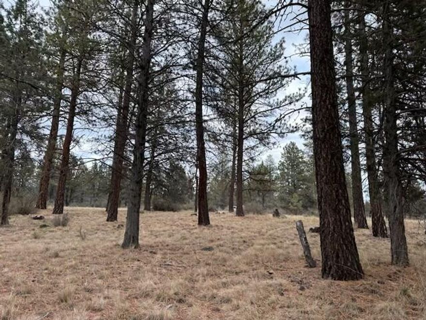 Just under 3 acres right off of Bly Mountain Cutoff Road for super easy access all year round. Owner says there is a seasonal creek (Wildhorse Creek) at the back of the property. Nestled in the pine and juniper with mature timber, level landscaping, and easy access to power, this lot is ready for your build.