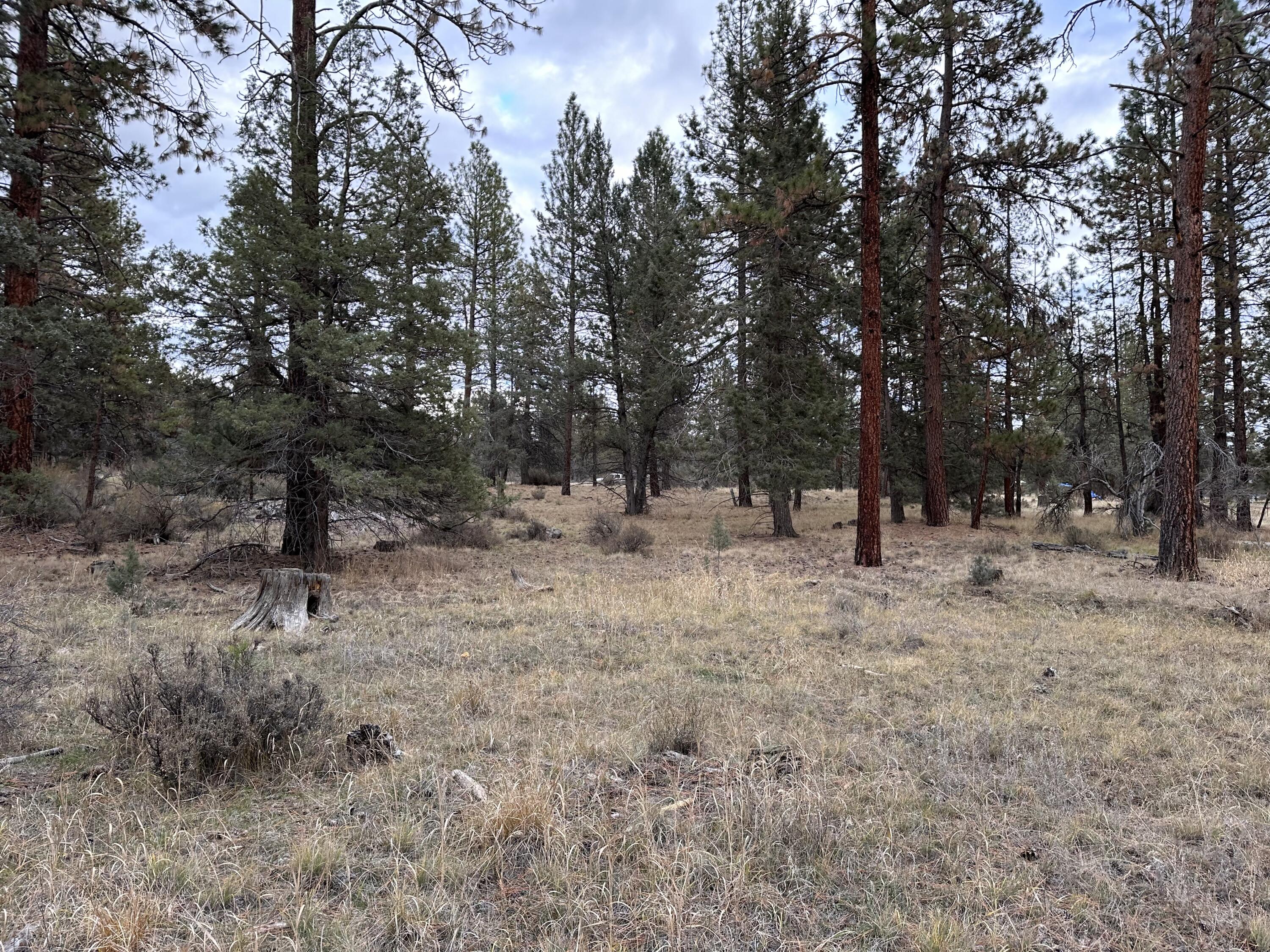 Klamath Falls Forest Estates -Hwy 66 Unit -Plat No. 2 - Land