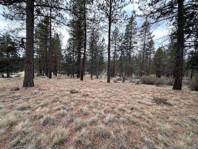 Klamath Falls Forest Estates -Hwy 66 Unit -Plat No. 2 - Land